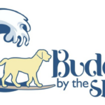 Buddy By The Sea